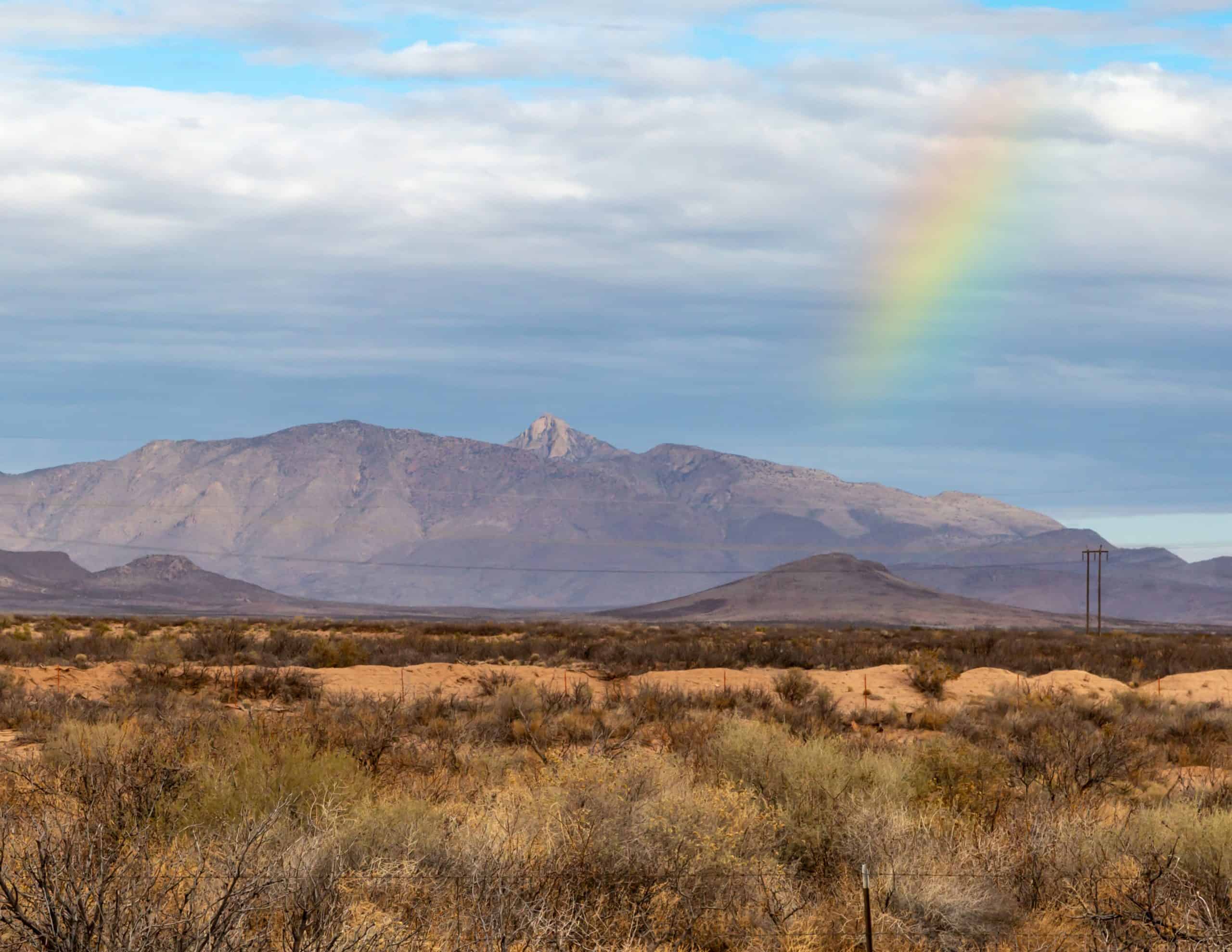 ío Maria Escamilla  (they/them) NMGSAN Program Manager