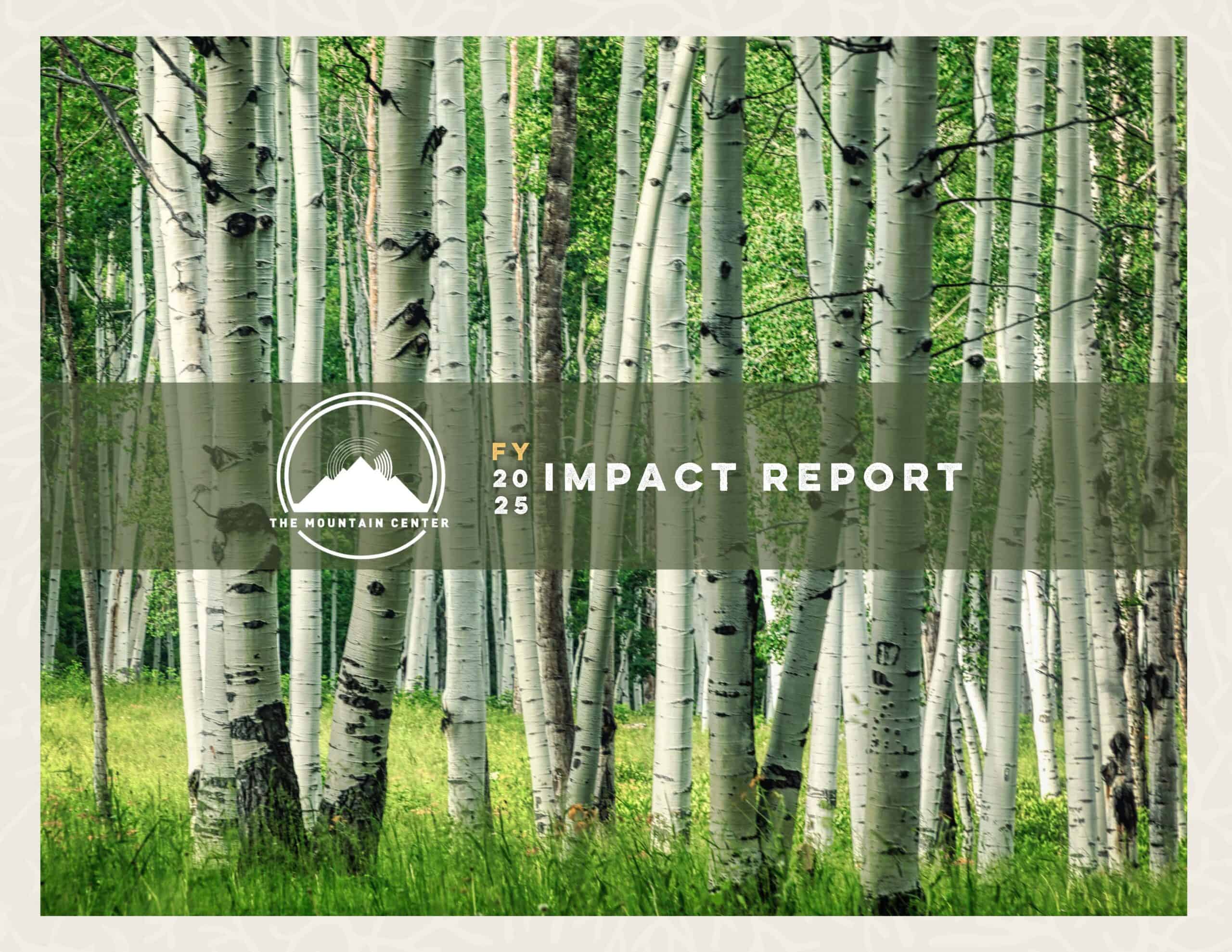 TMC Impact Report 2025 Cover1